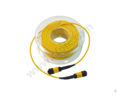8f Os2 Singlemode Mpo Mtp Trunk Cable