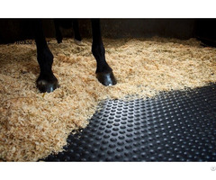 Equine Flooring