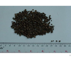 Guano As Organic Fertilizer