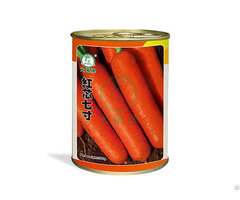 Carrot Seeds Bulk
