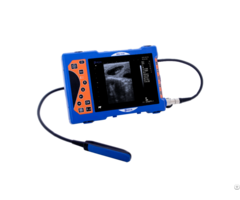 Bxl V50 Portable Veterinary Ultraosund Machine