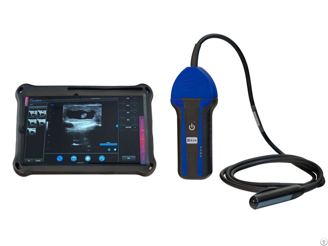 Bxl S100 Portable Wireless Veterinary Ultrasound Machine
