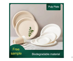 Compostable Disposable Pulp Paper Plates