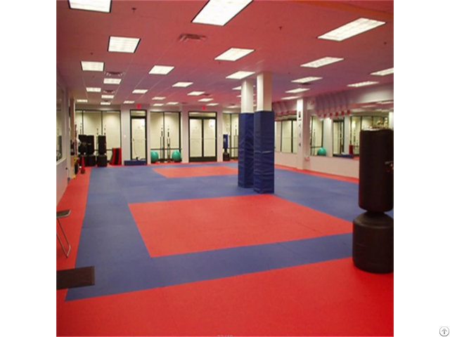 Ce Standards High Density Eva Foam Puzzle Mat Taekwondo Tatami Sports Mats