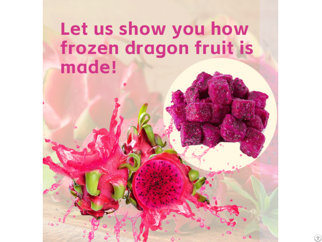 Frozen Dragon Fruit Raw Material