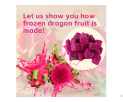 Frozen Dragon Fruit Raw Material