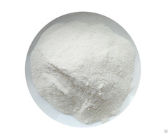 Garlic Extract Powder