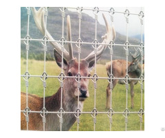Deer Breeding Net