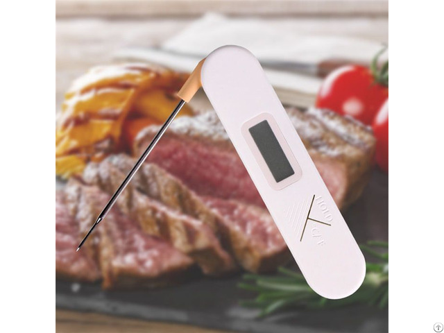 Folding Thermometer 3s