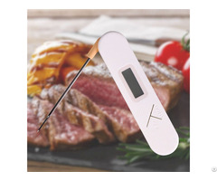 Folding Thermometer 3s