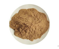 Bulk Green Tea Powders