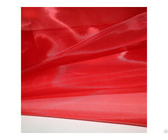 40mesh Nylon Pointelle Fabric