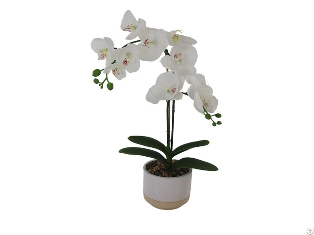 Artificial Orchid In Pot