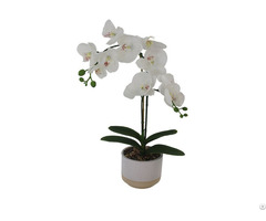 Artificial Orchid In Pot
