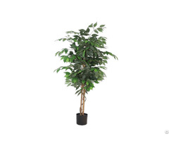 Artificial Ficus Microcarpa In Pot