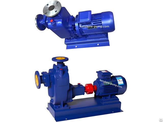 Zw Zwl Self Priming Non Clogging Horizontal Pump