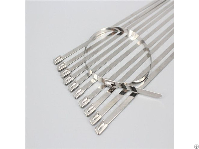 Stainless Steel Ties