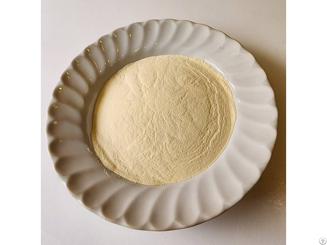 Mango Extract Powder