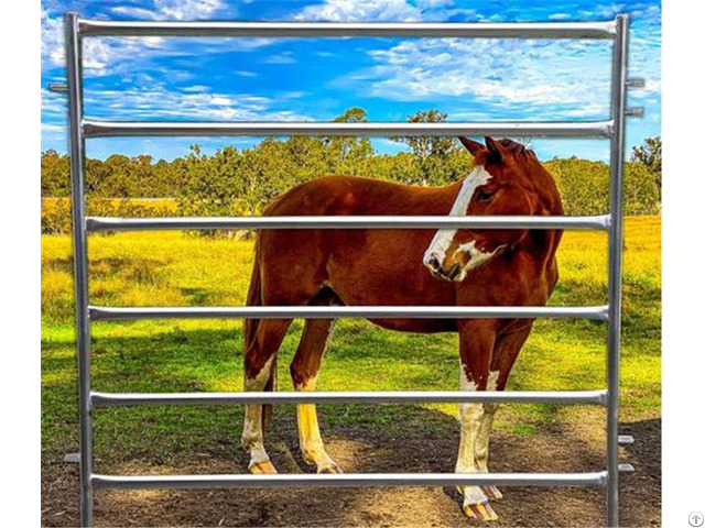 Horse Panel