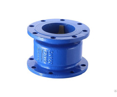 H41x 16q Flanged Muffler Check Valve