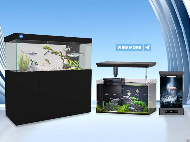 Aquarium Fish Tank
