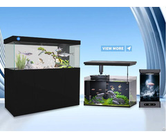 Aquarium Fish Tank