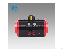 Angular Stroke Pneumatic Actuator