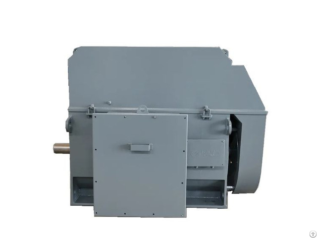 Iec Gost Standard Medium Voltage Electric Motors