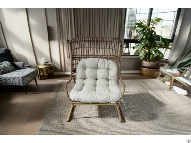 Iron Rattan Bird S Nest Chair