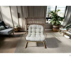 Iron Rattan Bird S Nest Chair