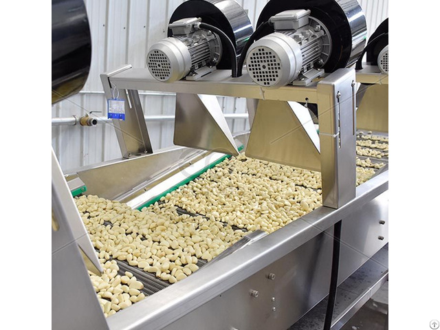 Automatic Garlic Peeling Production Line