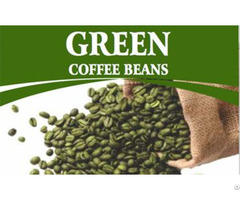 Natural Caffeine Extract From Green Coffee