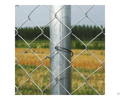 Wire Mesh Single Ring Fence Hot Sales