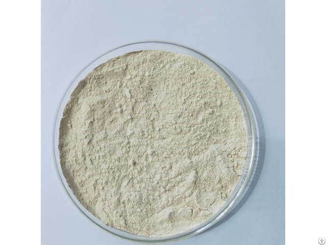 Boswellia Extract 65% Boswellic Acids