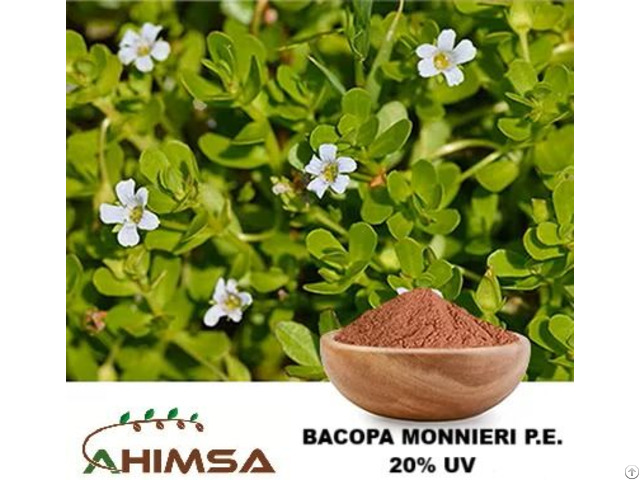 Bacopa Monnieri P E 20% Uv