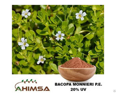 Bacopa Monnieri P E 20% Uv