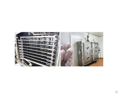 Plate Vacuum Dryer