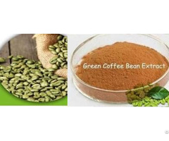 Green Coffee Bean Extract Chlorogenic Acid (45% & 50%) From Robusta Beans