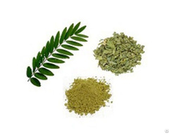 Senna Extract 10% 20% 40%