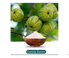 Garcinia Cambogia Extract 50% And 60% Hca