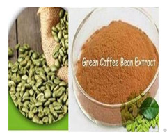 Green Coffee Bean Extract Chlorogenic Acid 45% And 50% From Arabica Beans