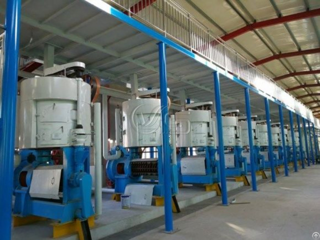 Sunflower Oil Extraction Equipment