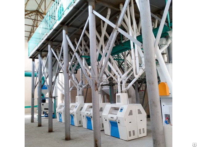 100tpd Wheat Flour Milling Plant