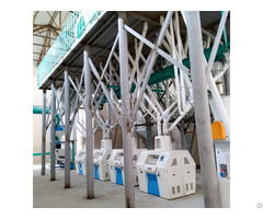 100tpd Wheat Flour Milling Plant