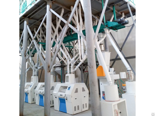 60tpd Wheat Flour Milling Line