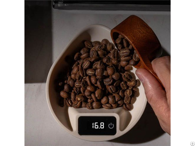 Coffee Bean Tray And Mini Espresso Kitchen Scale