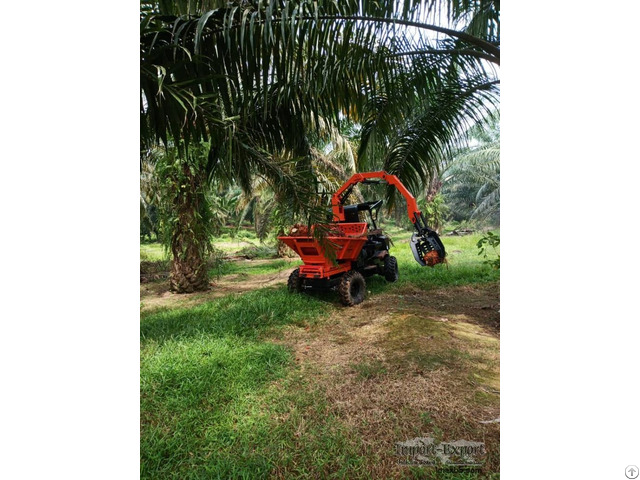 Self Loading Mini Dumper