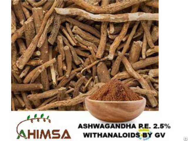 Ashwagandha Extract 2 5%withanolides By Gravimetry