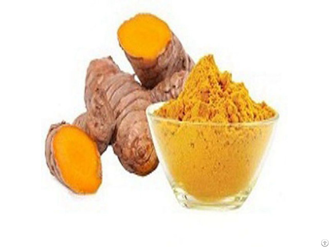 Turmeric P E Curcumin 95%