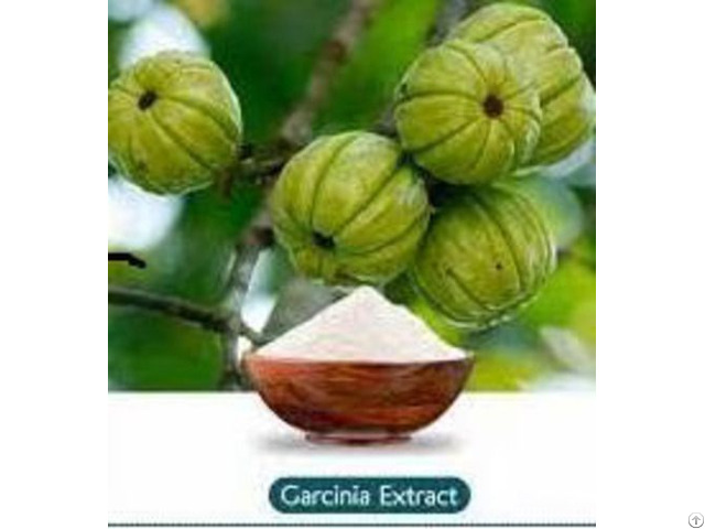 Garcinia Cambogia Extract 50% And 60%